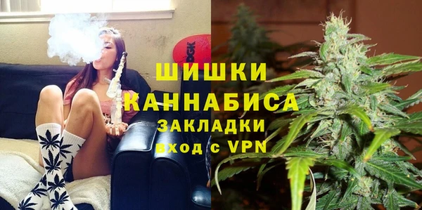 тгк Арсеньев