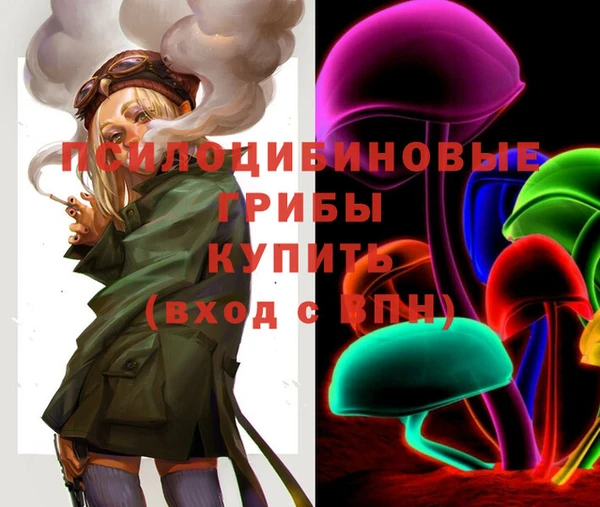 стаф Армянск